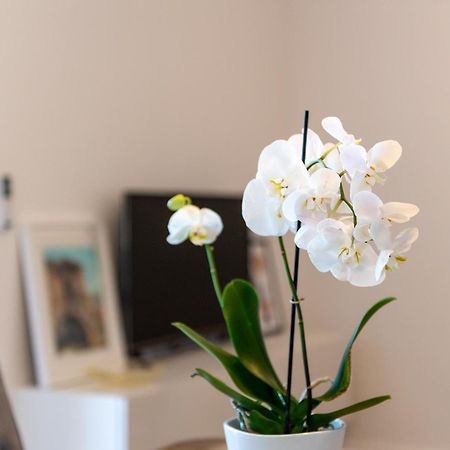 Apartment Ivi Trogir Zewnętrze zdjęcie